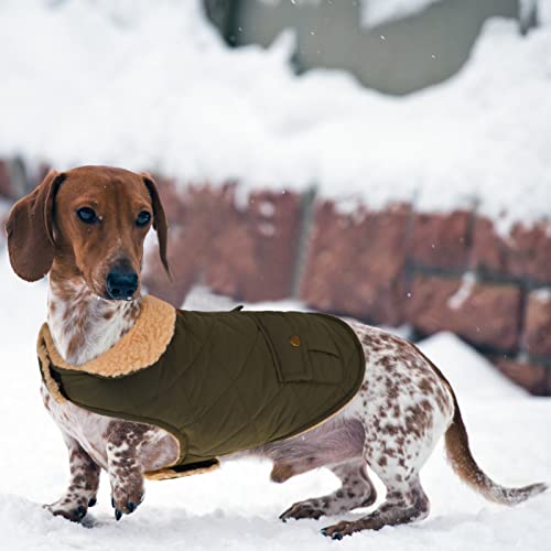 Warm Puffer Dog Coat Thick Plush Quilting Medium Winter Jacket (Medium / Green)