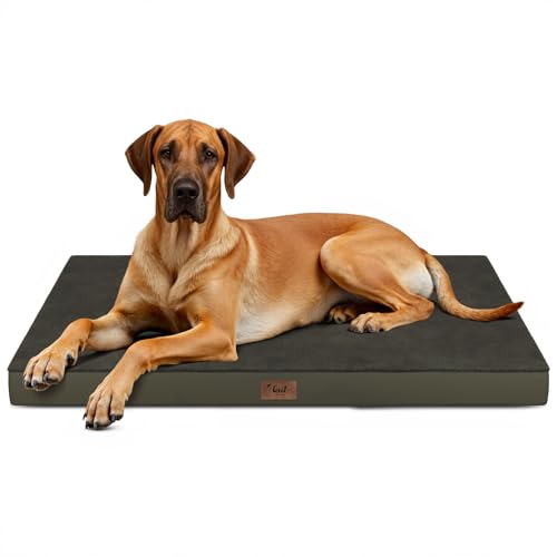 Jumbo Waterproof Orthopedic Dog Bed for Extra Large Dogs (Coffee / 53.0"L x 36.0"W x 4.0"Th)