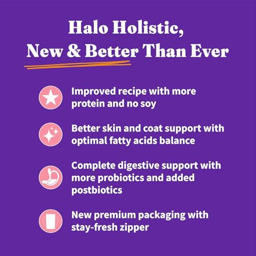 Holistic Dry Cat Food