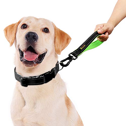 Short Dog Leash with Padded Handle for Medium Large Dogs (Black / 10 Inch (Pack of 1))