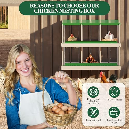 6 Hole Chicken Nesting Box with Roll Out Egg Tray