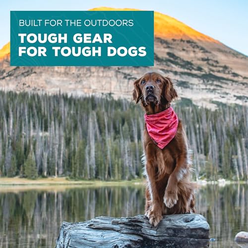 Dog Bandana with Lightweight Quick Drying Poly (Papaya)