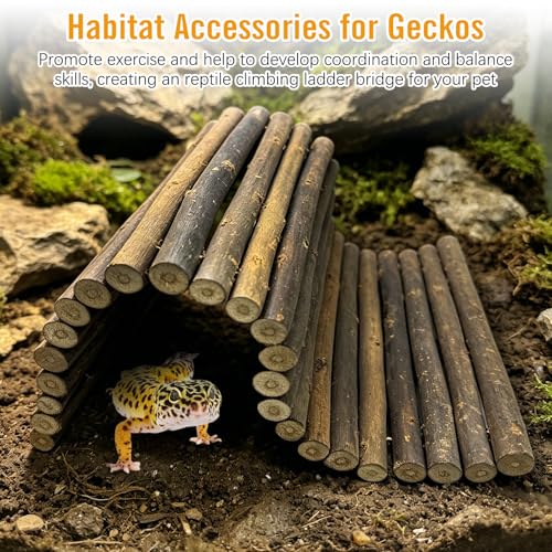 13.8" L x 7.9" W Wooden Reptile Bridge Ladder Climbing Toy Natural Hideout Tunnel Ramp for Lizards Gecko Spiders Snakes Tortoise