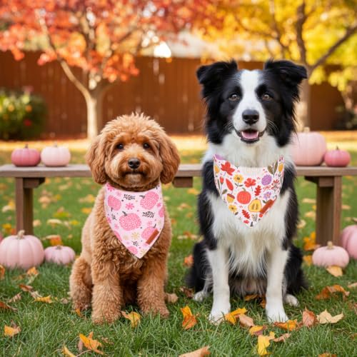 Pink Fall Dog Bandanas (Large / Fall-1)