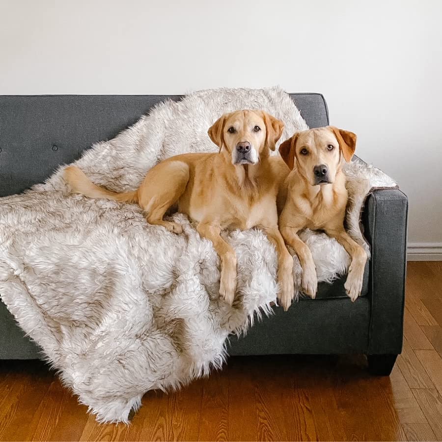PupProtector Waterproof Throw Blanket for Dogs and Cats (White With Brown Accents / Large (80" L x 62" W))