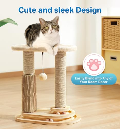 Made4Pets Kitten Toy Scratching Post with Self Groomer for Indoor Cats (17.5"H)