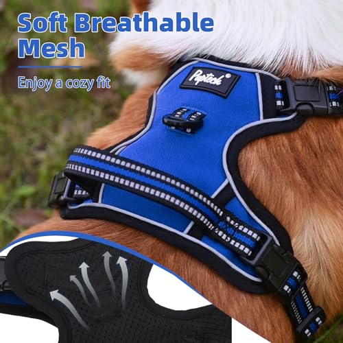 No Pull Dog Harness Small Sized (Blue / Small)