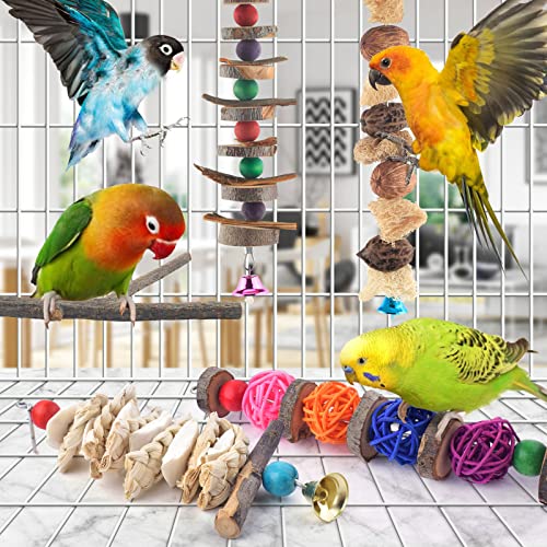 Bird Chew Toys (5 pieces)