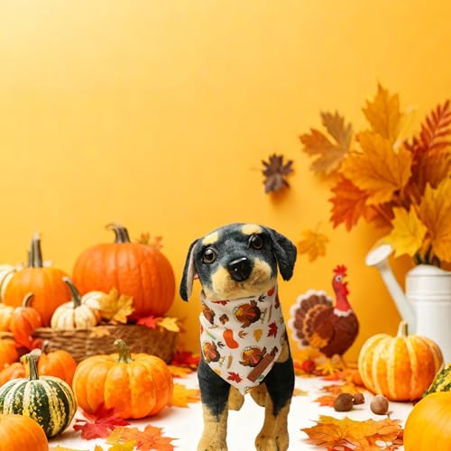 Thanksgiving Dog Bandanas 2 Pack (Thanksgiving / X-Large)