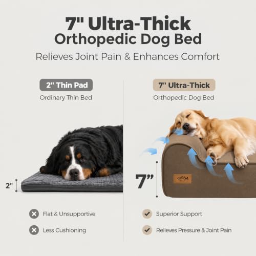 XXL 35D Memory Foam Dog Bed for Extra Large Dogs (XX-Large / Brown)