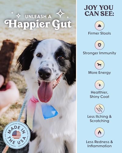 Beef Jerky Dog Training Treats (16 Ounce (Pack of 1))