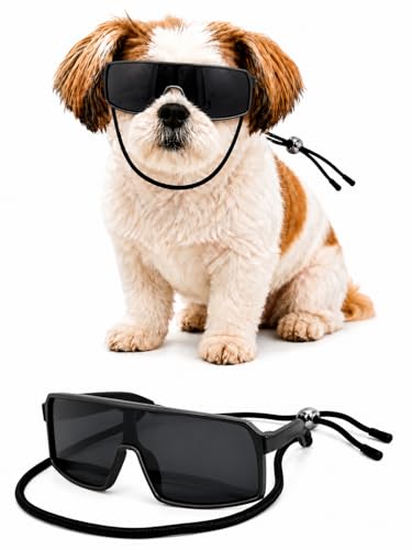 G029 Small Dog Breed 8 (S, 8-18 lbs, Sport Turbo Black)