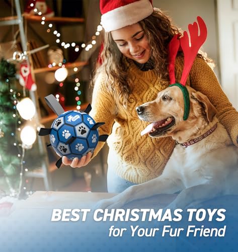 Dog Balls Toys (Blue Gray / Medium Size 2 (6 Inch))