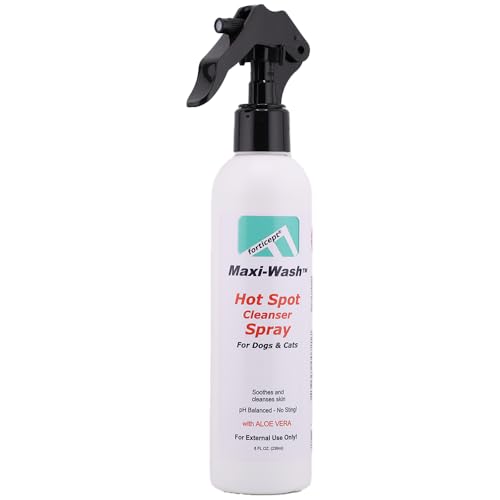 Maxi Wash Hot Spot Cleansing Spray Treatment
