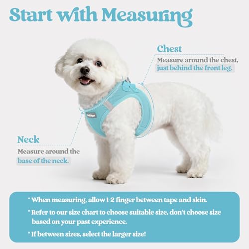 Dog Harness Small Sized and Leash Set (Mint Blue / Xxs (chest: 12.4 - 14.2"))