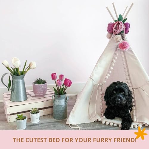 Pet Teepee Bed for Dogs and Cats (Medium)