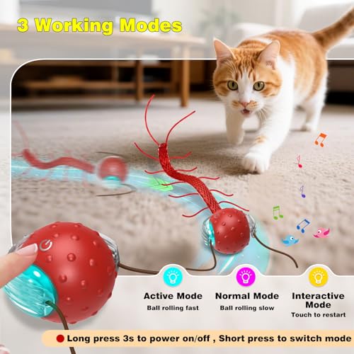 Interactive Cat Toys for Indoor Cats (Red)