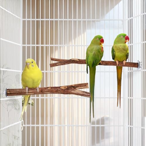Natural Wooden Perches for Bird Cages (No-Bark / 2 Pack)