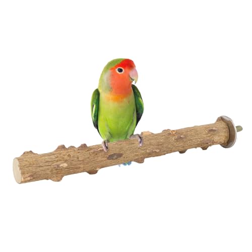 Natural Prickly Ash Wood Perch Bird Paw Grinding Stand (7.86 inch)