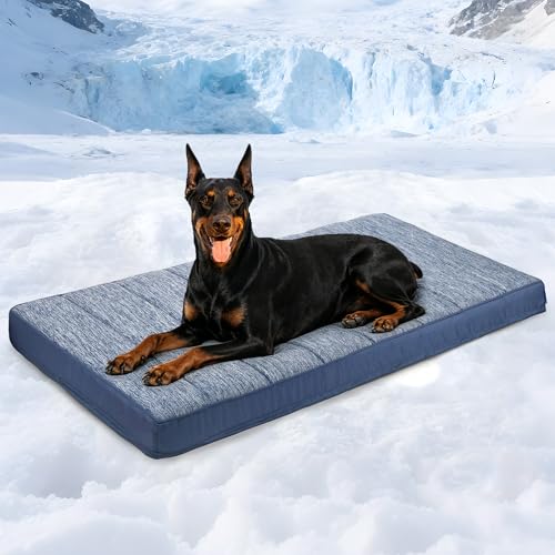 Cooling Dog Bed for 2XL Large Dogs (Wander Blue / 47"L x 29"W x 3"H)