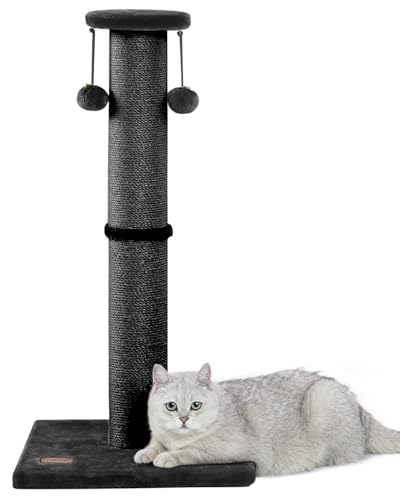 34Inch Tall Cat Scratching Post for Indoor Cats Adults (Black)