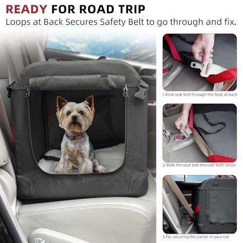 Large Cat Carrier for 2 Cats (Black / 24.0"L x 17.0"W x 17.0"H)