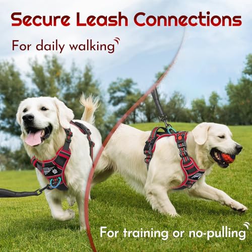 Dog Harness No Pull for Large Dogs (Large / Black & Red)