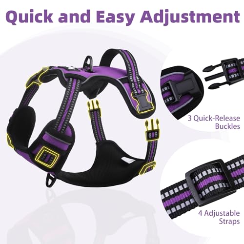 No Pull Dog Harness for Large (Purple / X-Large)