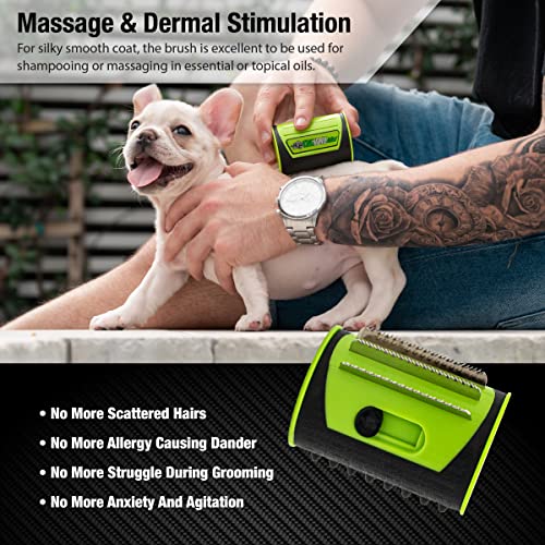Mini King Komb Pet Grooming Brush (Small (Pack of 1))