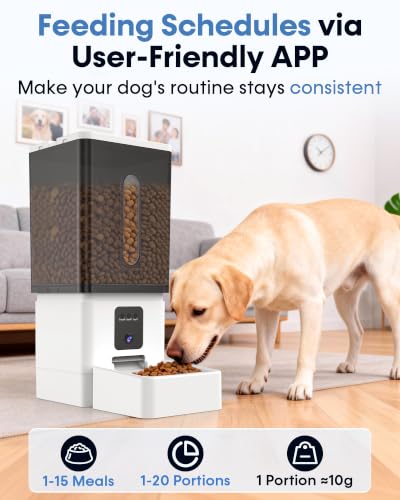 Large Dog Automatic Feeder