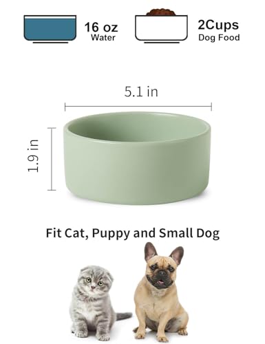 Ceramic Dog Bowl Set of 2 (5 inch x 2 / Sage Green)
