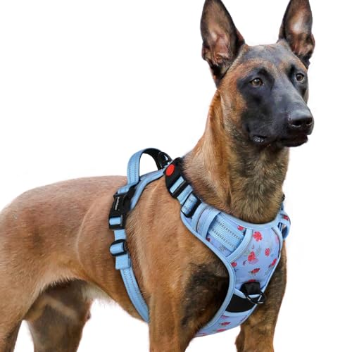 Dog Harness for Large (Floral Blue / X-large)