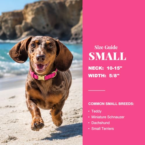Soft Padded Dog Collar for Small Dogs (Neon Pink / S：Fit 10-15" Neck, Width ⅝")