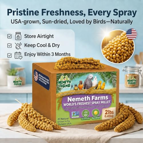 Spray Millet Edible Tops Only (2 Pound (Pack of 1))