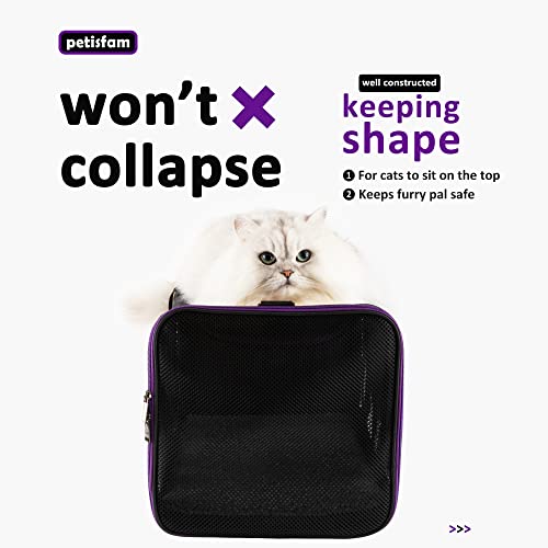 Soft Pet Carrier for Large and Medium Cats (Black)
