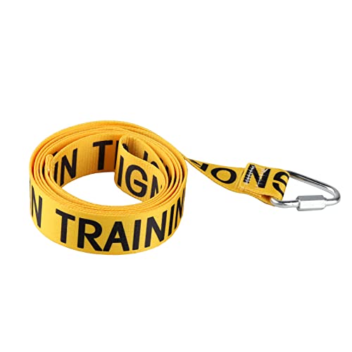 Funny Dog Leash for Training (In Training Ignore-YE)
