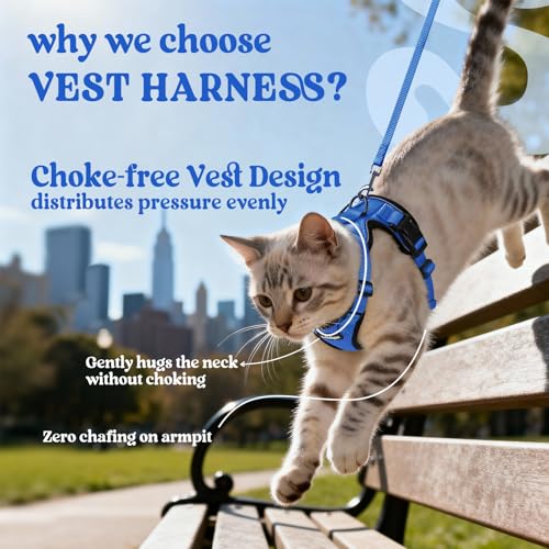 Cat Harness and Leash Set (M / Navy Blue)