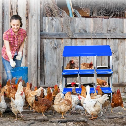 Chicken Nesting Boxes (35.4"L x 17.5"W x 9.1"H / Blue)