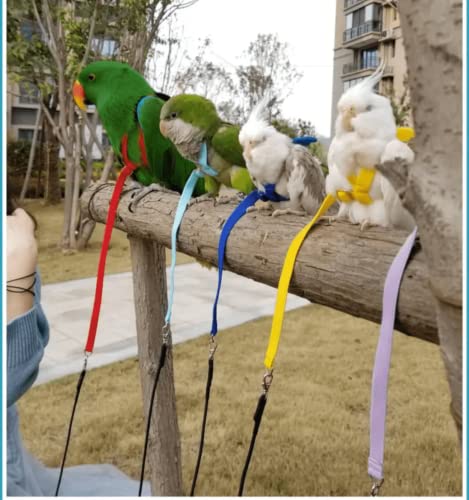 Pet Parrot Bird Harness Leash Adjustable Bird Flying Harness Traction Rope with Cute Wing for Parrots Pigeons Budgerigar Lovebird Cockatiel Mynah Outdoor Training Toy (L / Blue)