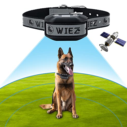 GPS Wireless Dog Fence (Black for 1 dog)