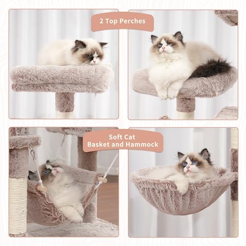 Cat Tree 71'' Tower for Large Cat with Scratching Post (71 inches / Muchroom)