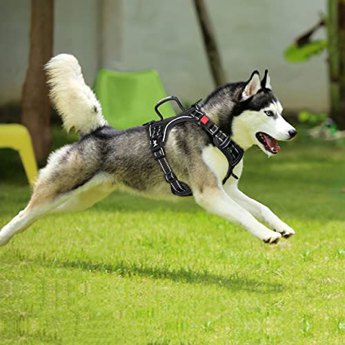 No Pull Dog Harness with 3 Leash Clips and Vertical Handle (Large / Black)