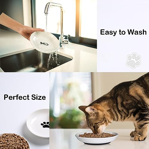 Cat Food Bowl (Shallower-6 Pack)