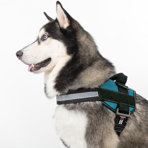 Dog Harness Reflective No (Teal / Girth 33" to 46")