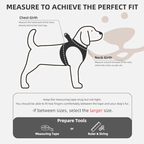 Dog Harness Collar and Leash Set No Pull for Small Medium Sized (Solid Black / S (CHEST 14.5"-16"))