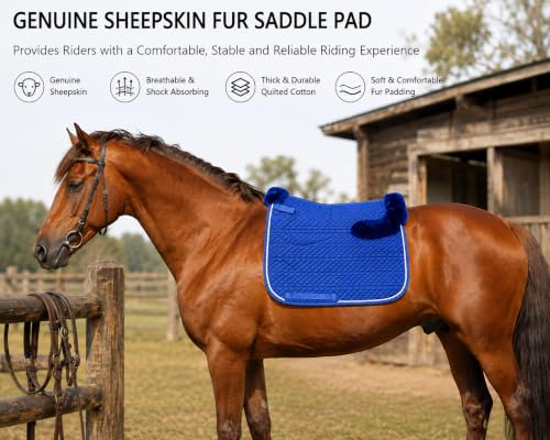 Dressage Saddle Pad English Sheepskin Trim Lambskin Wool Royal Blue (Royal Blue)
