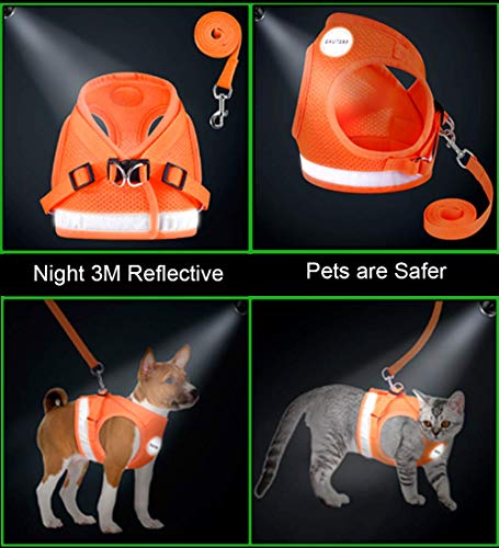 Cat Harness and Leash Set (M (Chest: 12" - 14") / Orange)