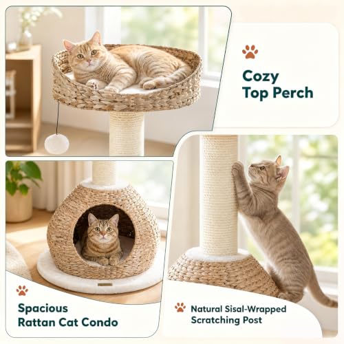 28 inch Modern Cat Tree (28 inches / Beige)