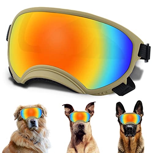 Large Dog Sunglasses