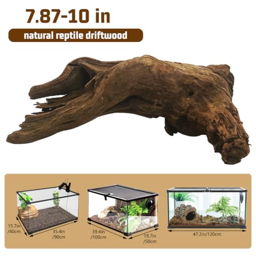 Bearded Dragon Driftwood for Reptile